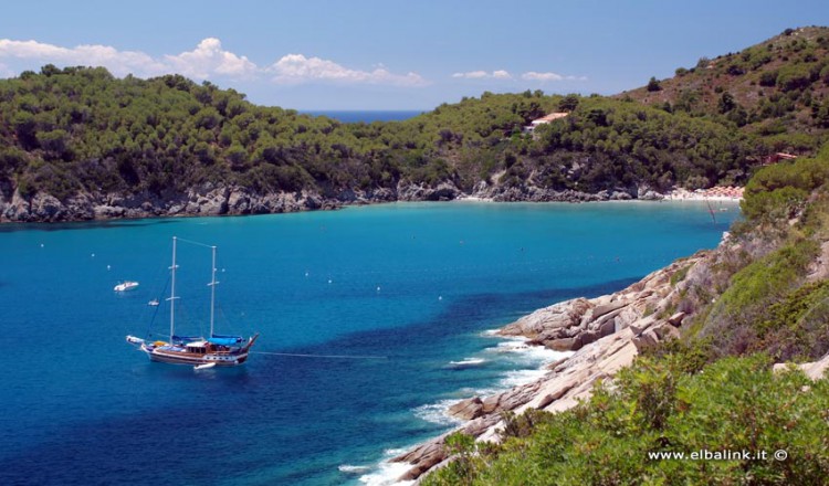 Spiaggia Di Fetovaia Spiaggia Di Sabbia Allisola Delba