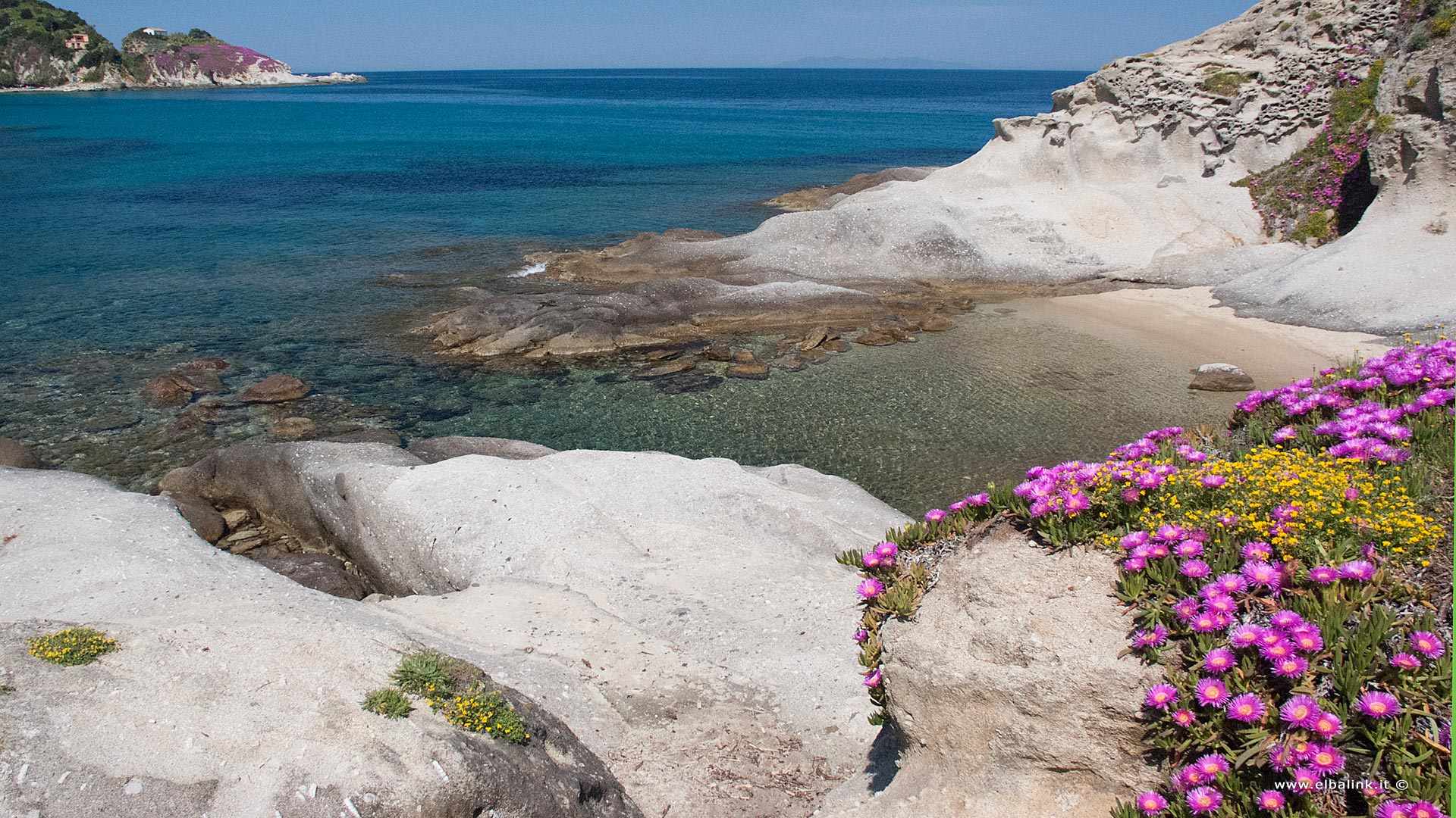 Le Spiagge Dellisola Delba Del Versante Nord Guida Completa