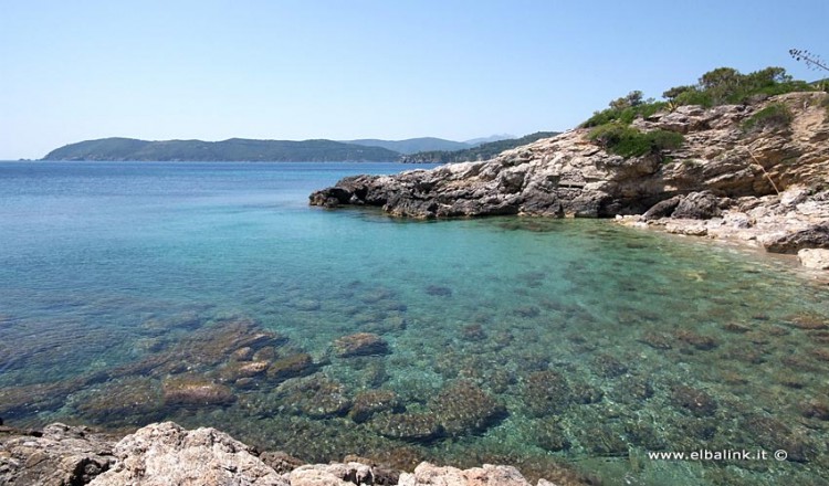 Spiaggia Del Felciaio Spiagge Allisola Delba A Capoliveri