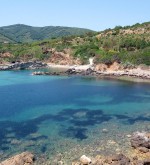 Spiaggia Del Felciaio Spiagge Allisola Delba A Capoliveri