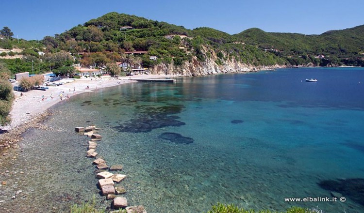 Spiaggia Dellenfola Spiagge Allisola Delba Portoferraio