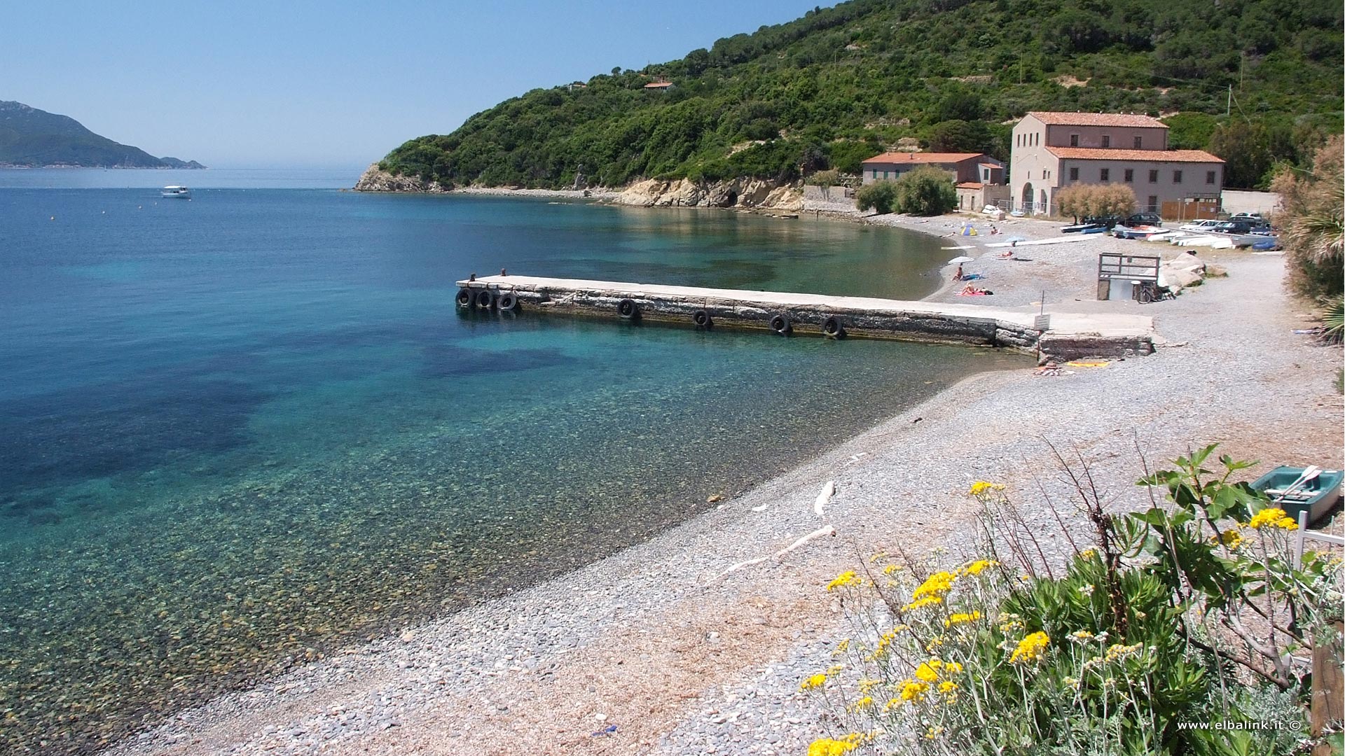 Spiaggia Dellenfola Spiagge Allisola Delba Portoferraio