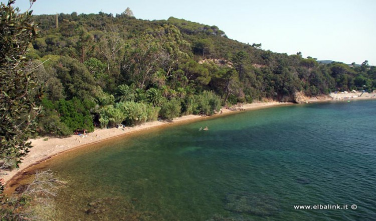 Spiaggia Della Concia Spiagge Allisola Delba A Portoferraio