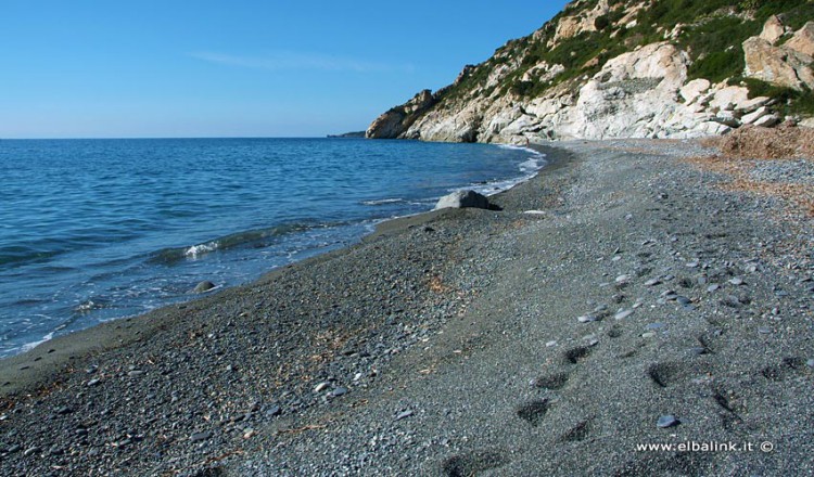 Spiaggia Di Colle Palombaia Spiagge Allisola Delba