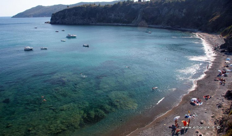 Spiaggia Di Acquarilli Isola Delba Spiaggia A Capoliveri