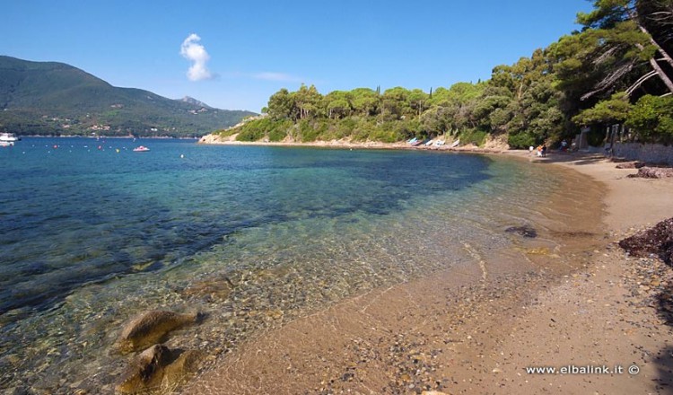 Spiaggia Di Campo Allaia A Procchio Spiagge Allelba