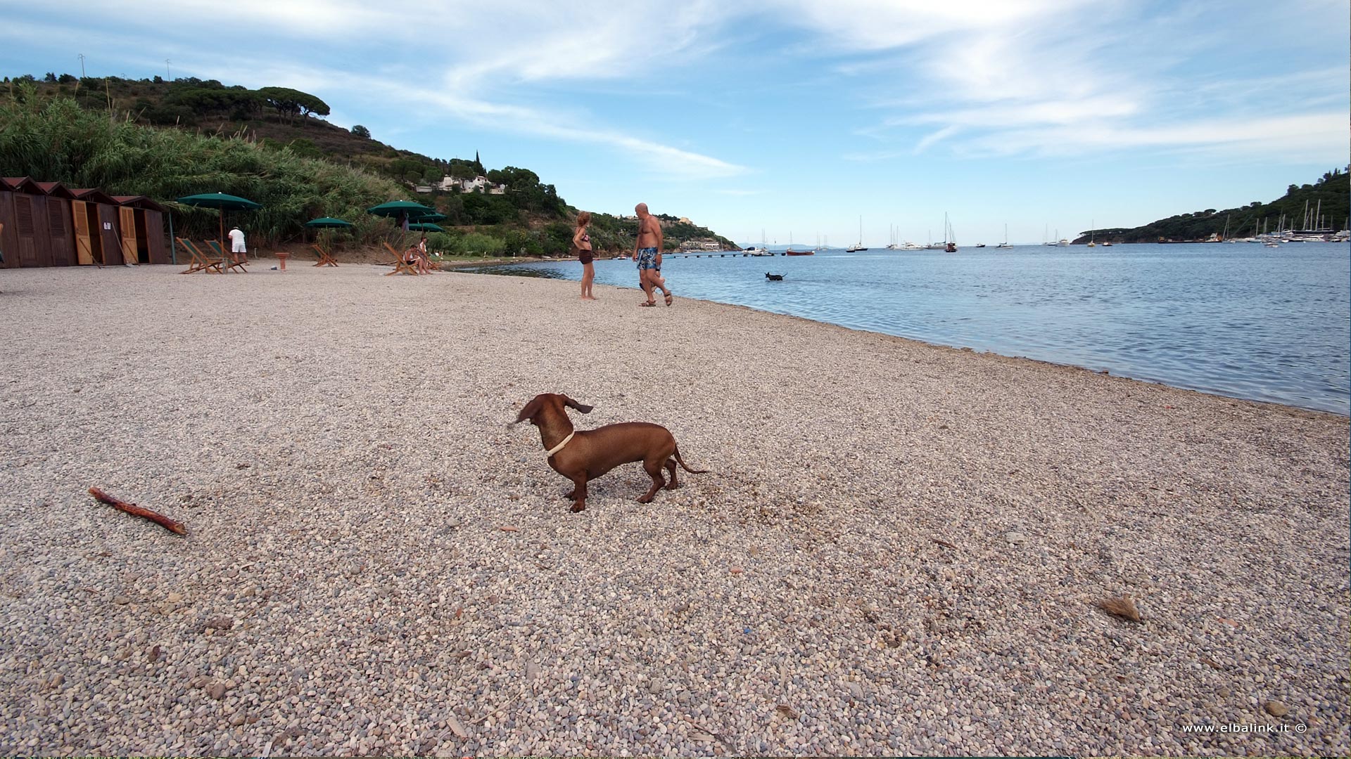 Spiaggia Di Mola Dog Beach Allisola Delba