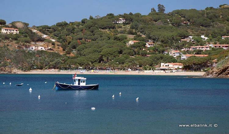 Spiaggia Di Morcone Spiagge Allisola Delba A Capoliveri