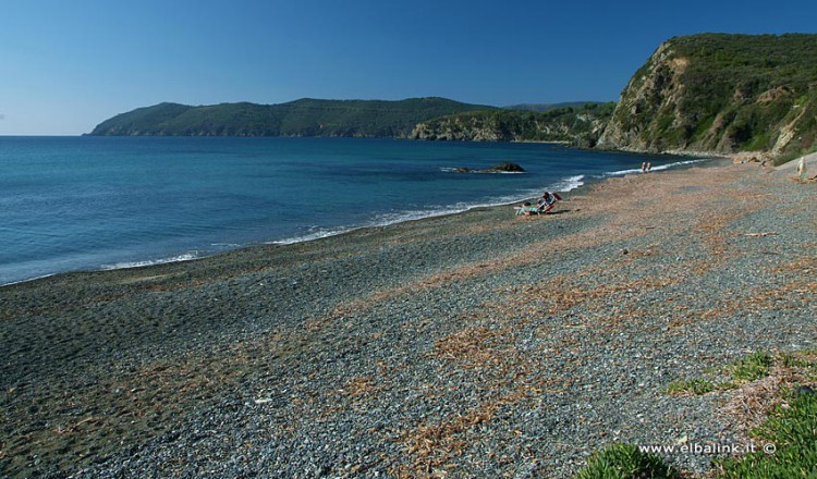 Spiaggia Di Norsi Spiagge Allisola Delba A Capoliveri