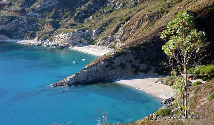 Spiaggia Di Remaiolo Spiagge Allisola Delba A Capoliveri