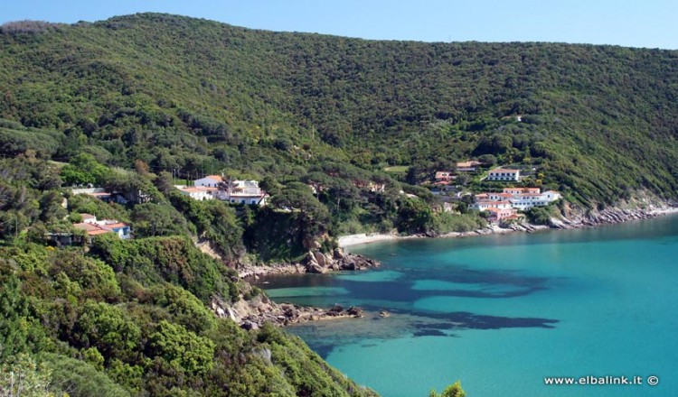 Spiaggia Del Viticcio A Portoferraio Spiagge Allisola Delba